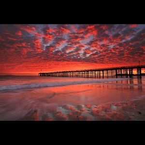 Meet your Posher, Rozhin